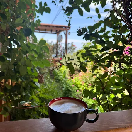 Limis Hotel Çanakkale