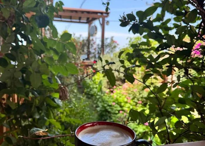 Limis فندق تْشاناكالي